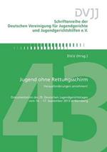 Jugend ohne Rettungsschirm - Herausforderungen annehmen!: Dokumentation des 29. Deutschen Jugendgerichtstages vom 14.-17. September 2013 in Nurnberg