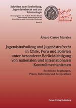 Jugendstrafvollzug und Jugendstrafrecht in Chile, Peru und Bolivien unter besonderer Berücksichtigung von nationalen und internationalen Kontrollmechanismen: Rechtliche Regelungen, Praxis, Reformen und Perspektiven