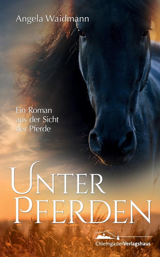 Unter Pferden