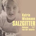 Salzgitter (Ungekürzt)