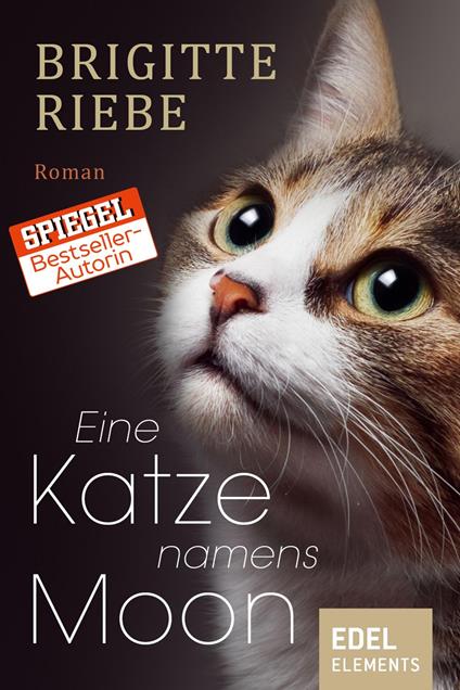 Eine Katze namens Moon - Brigitte Riebe - ebook