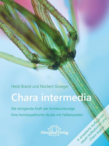 Chara intermedia