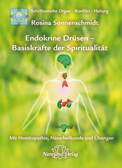 Endokrine Drüsen - Basiskräfte der Spiritualität
