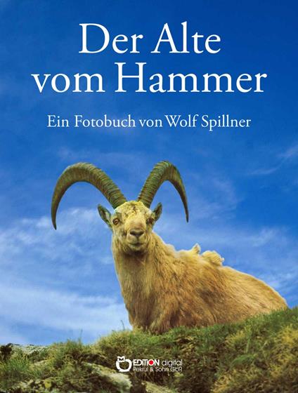 Der Alte vom Hammer - Wolf Spillner - ebook