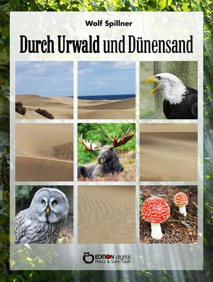 Durch Urwald und Dünensand - Wolf Spillner - ebook