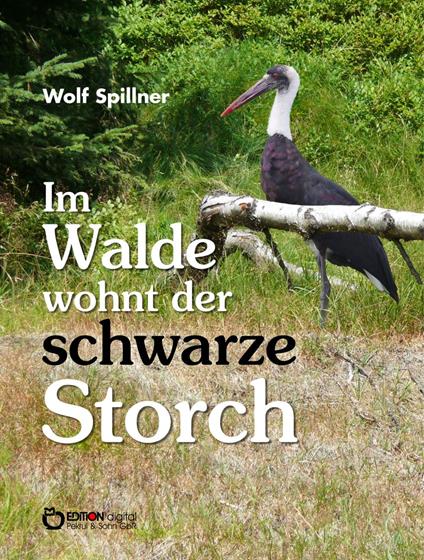 Im Walde wohnt der schwarze Storch - Wolf Spillner - ebook