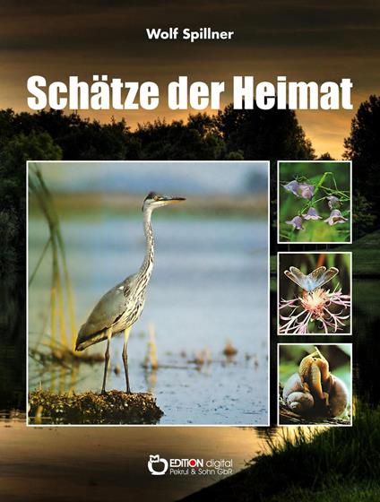 Schätze der Heimat - Wolf Spillner - ebook