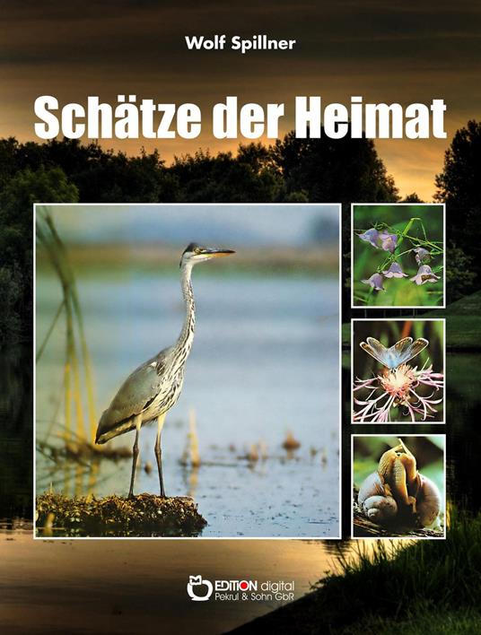 Schätze der Heimat - Wolf Spillner - ebook