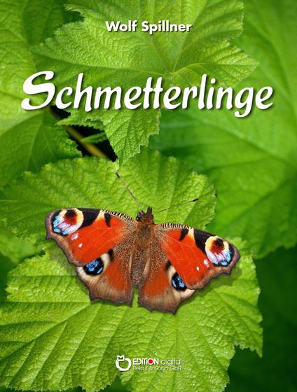 Schmetterlinge - Wolf Spillner - ebook