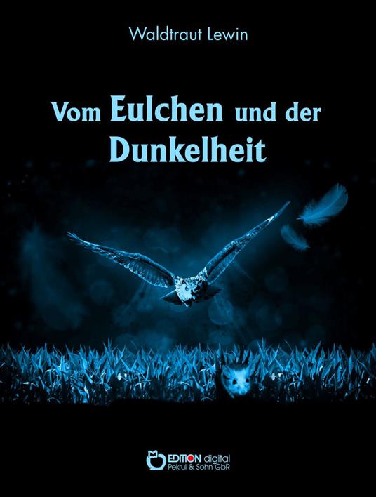 Vom Eulchen und der Dunkelheit - Lewin Waldtraut - ebook