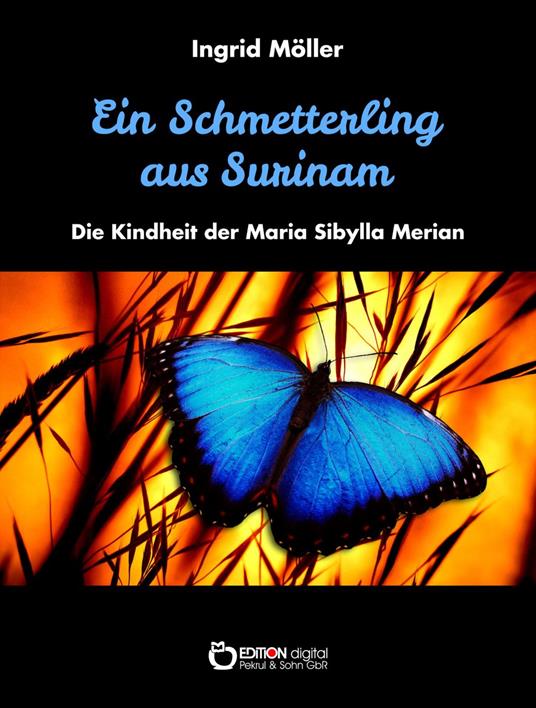 Ein Schmetterling aus Surinam - Ingrid Möller - ebook