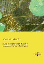 Die elektrischen Fische: Malopterurus Electricus