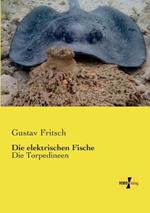 Die elektrischen Fische: Die Torpedineen