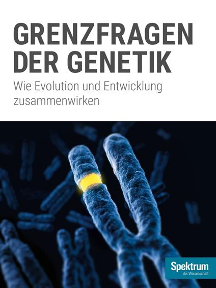 Grenzfragen der Genetik