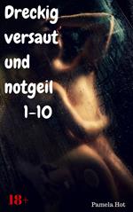 Dreckig, versaut und notgeil 1-10