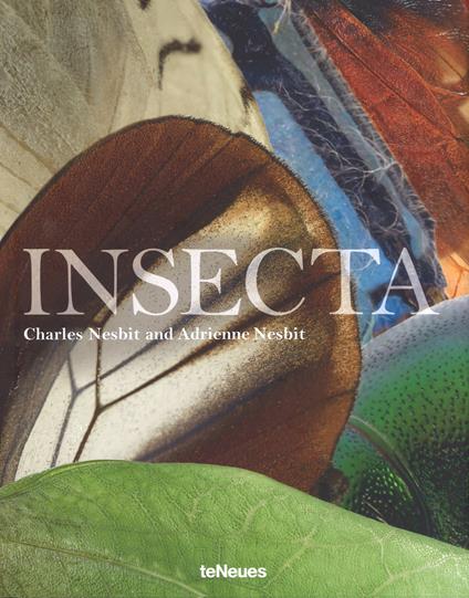 Insecta. Ediz. a colori - Charles Nesbit,Adrienne Nesbit - copertina