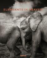 Elephants in heaven. Ediz. inglese, francese e tedesca