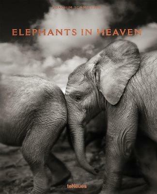 Elephants in heaven. Ediz. inglese, francese e tedesca - Joachim Schmeisser - copertina