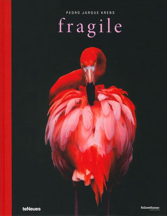 Fragile - Pedro Jarque Krebs - cover