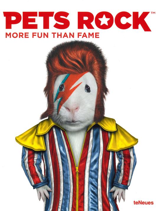 Pets Rock: More Fun than Fame - Takkoda - cover