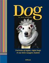 Libro in inglese Dog: Portraits of Eighty-Eight Dogs and One Little Naughty Rabbit Tein Lucasson