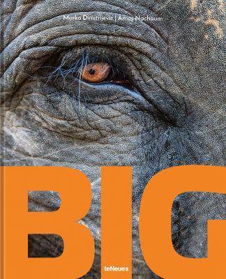 Big: A Photographic Album of the World's Largest Animals - Marko Dimitrijevic,Amos Nachoum - cover