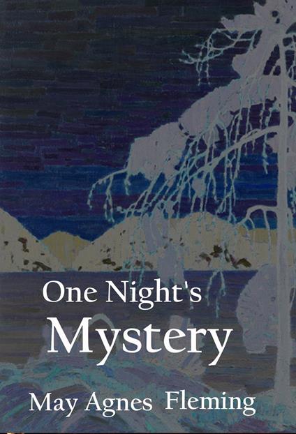 One Night's Mystery