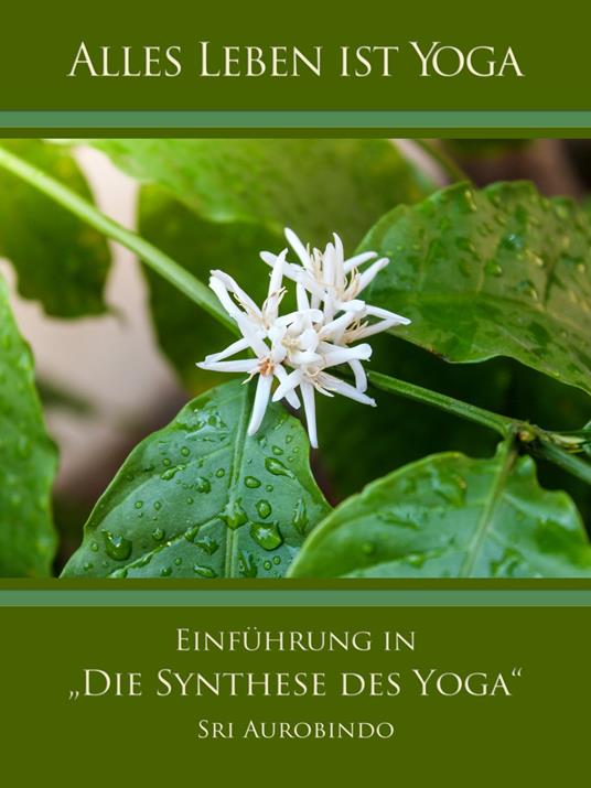 Einführung in „Die Synthese des Yoga“
