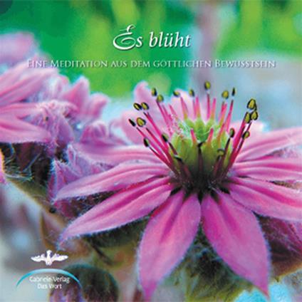 Es blüht