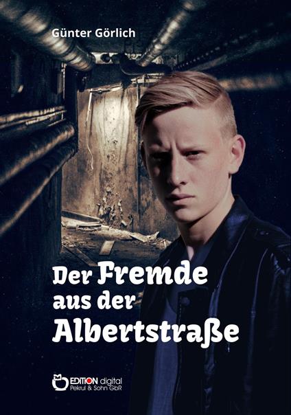 Der Fremde aus der Albertstraße - Günter Görlich - ebook
