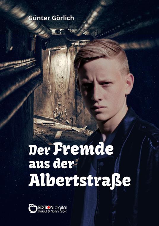 Der Fremde aus der Albertstraße - Günter Görlich - ebook