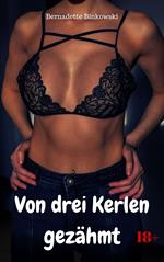 Von drei Kerlen gezähmt