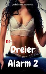 Dreier Alarm 2
