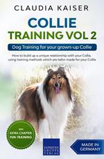 Collie Training Vol 2: Dog Training for Your Grown-up Collie