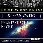 Phantastische Nacht