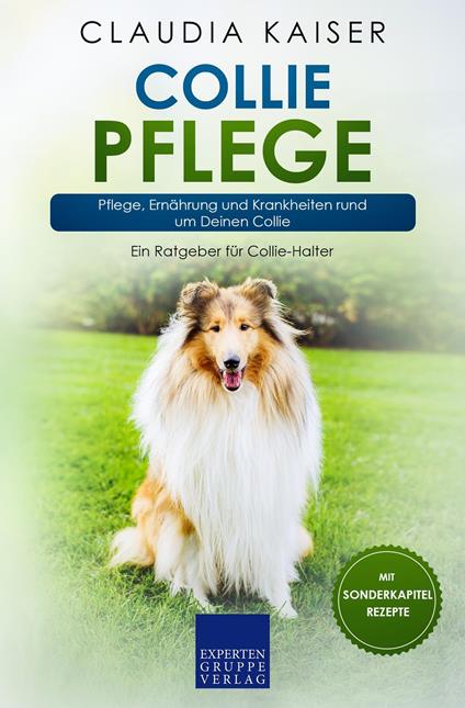 Collie Pflege