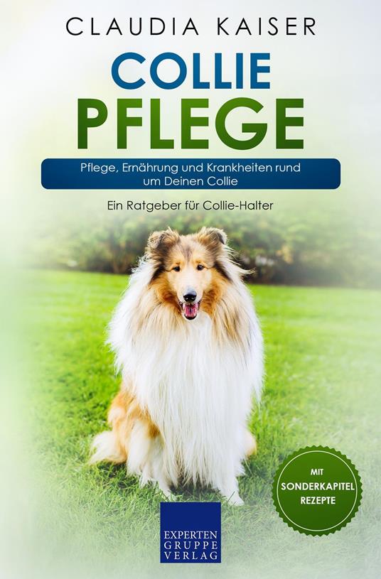 Collie Pflege