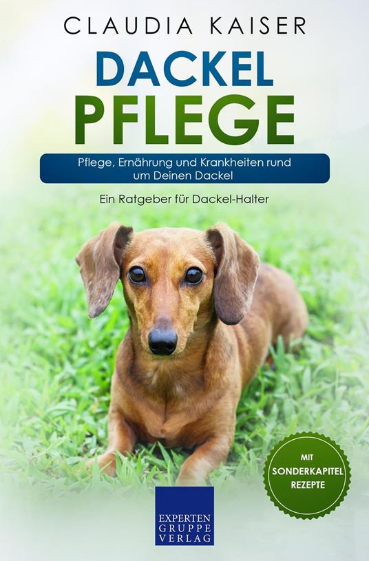 Dackel Pflege