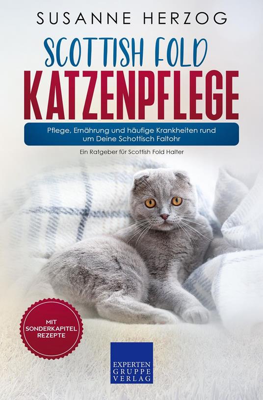 Scottish Fold Katzenpflege – Pflege, Ernährung und häufige Krankheiten rund um Deine Schottisch Faltohr