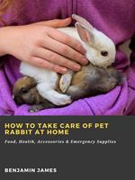 How to Take Care of Pet Rabbit at Home: Food, Health, Accessories & Emergency Supplies