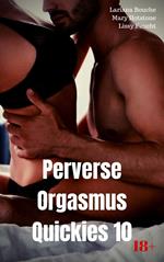 Perverse Orgasmus Quickies 10