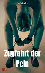 Zugfahrt der Pein
