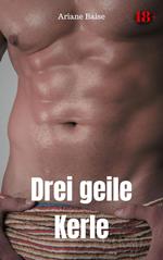 Drei geile Kerle