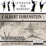 Erzählungen 13