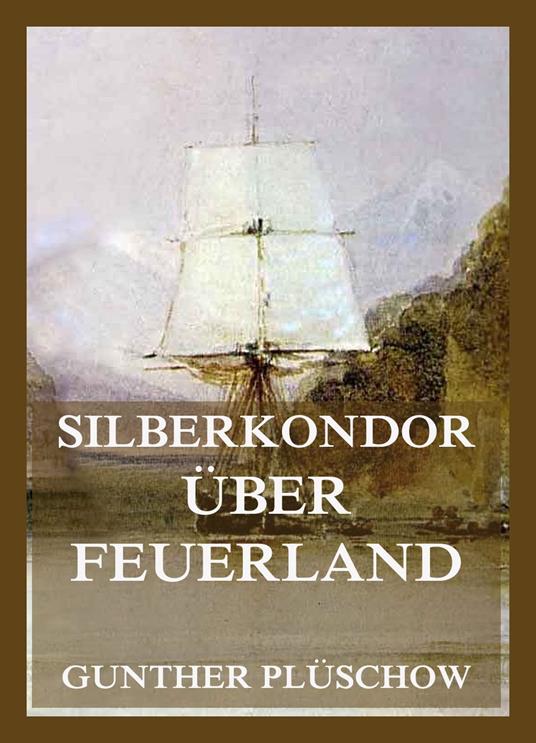 Silberkondor über Feuerland