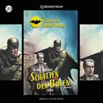 Die Schwarze Fledermaus, Folge 20: Schatten des Bösen