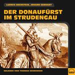 Der Donaufürst im Strudengau