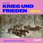 Krieg und Frieden (Sechster Teil)
