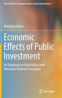 Economic Effects of Public Investment: An Emphasis on Marshallian and Monetary External Economies