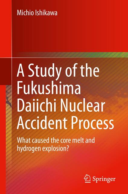 A Study of the Fukushima Daiichi Nuclear Accident Process